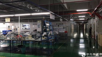 凤岗镇布心新出无尘车间3200平方
